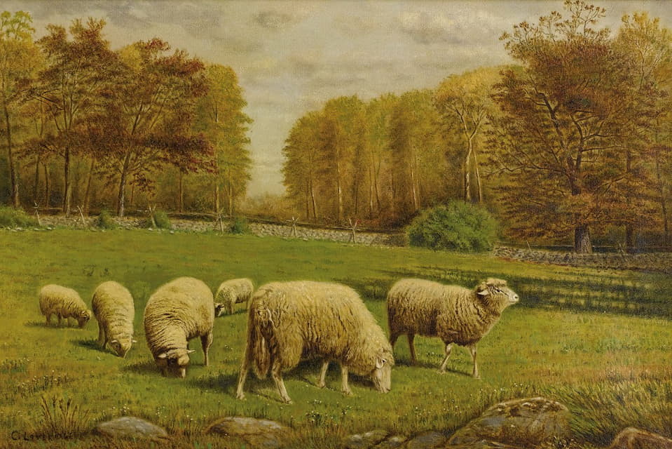 Clinton Loveridge - Grazing Sheep