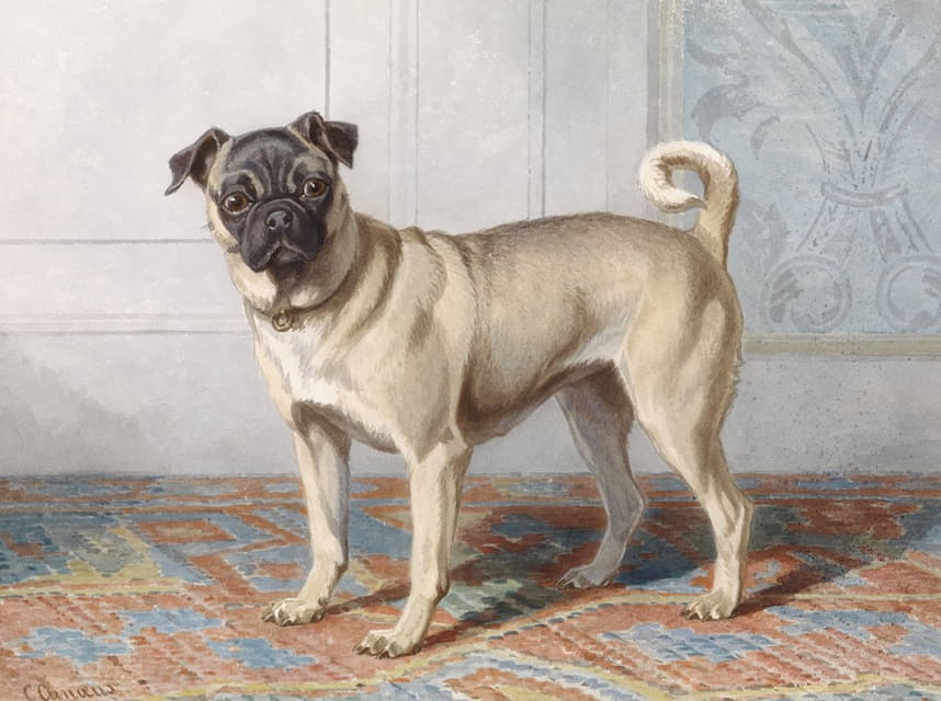 Conradijn Cunaeus - Portrait of Edwin vom Rath’s Pug