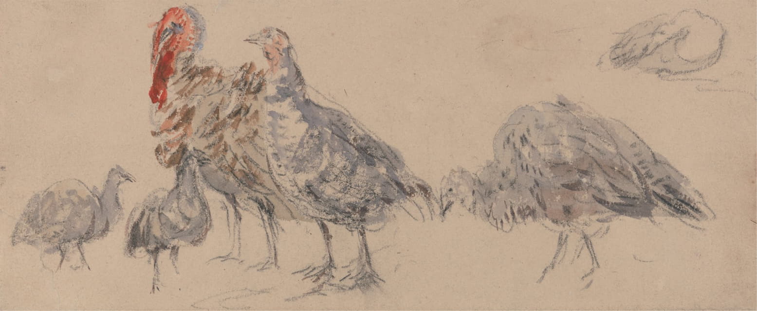 David Cox - Study of Turkeys