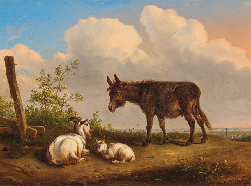 乡间小路上的驴和山羊