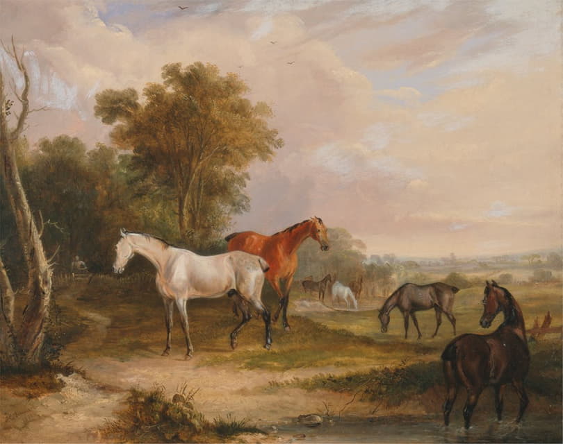 Francis Calcraft Turner - Horses Grazing; a Grey Stallion Grazing with Mares in a Meadow