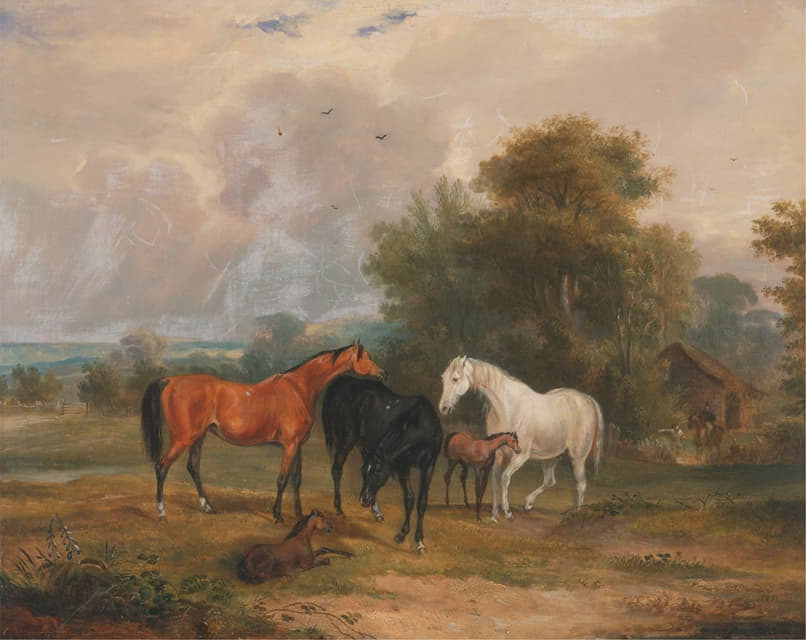 放牧的马；田野里的母马和小马驹