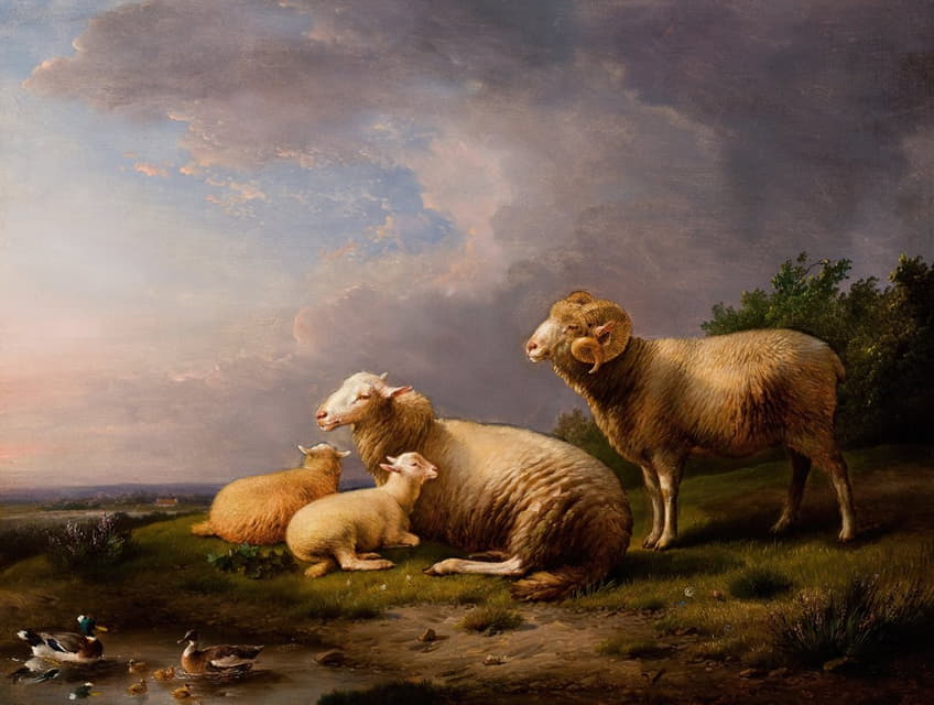羊的风景