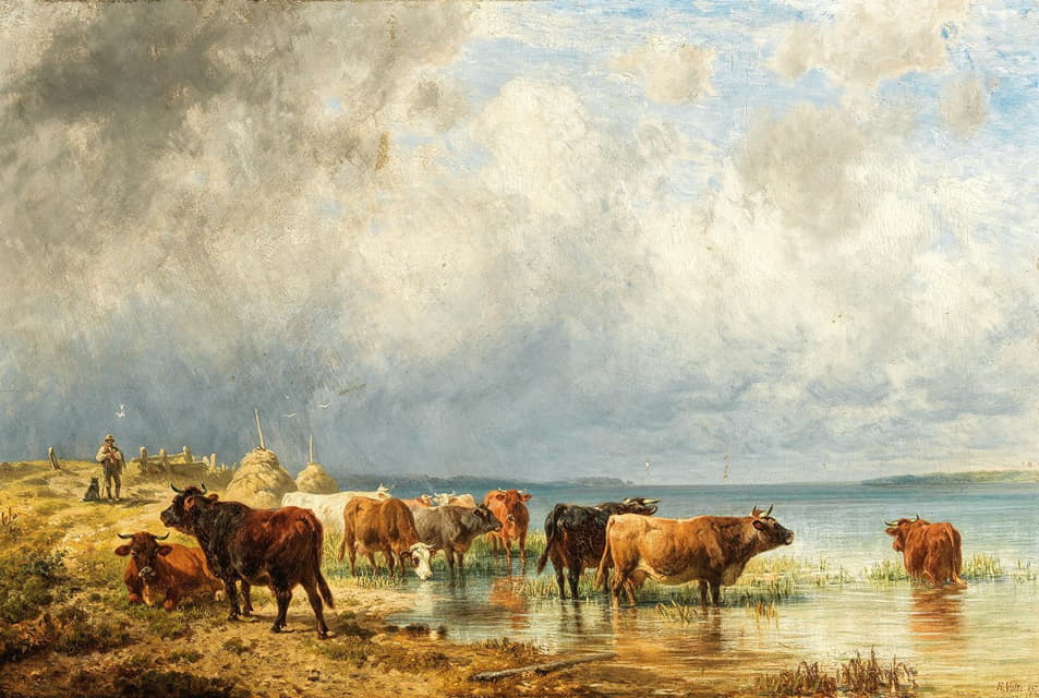 湖边的一群牛