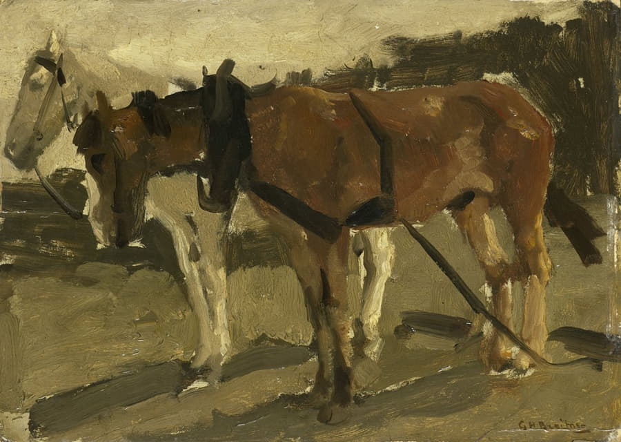 申维宁根的一匹棕色和一匹白色的马