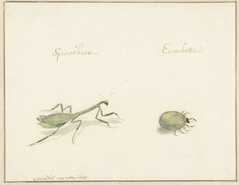 Gerardus van Veen - Twee insecten