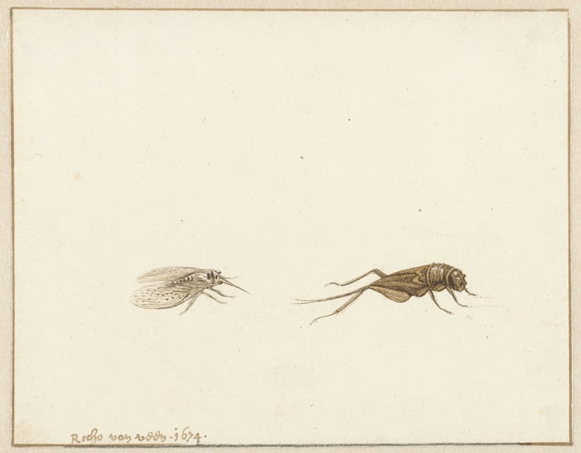 Gerardus van Veen - Twee insecten