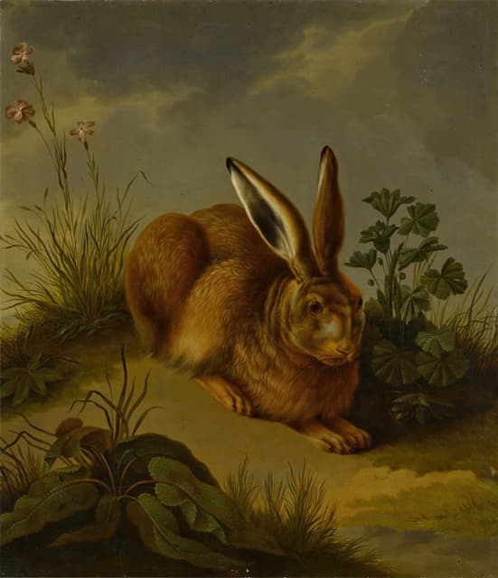 草丛中的野兔