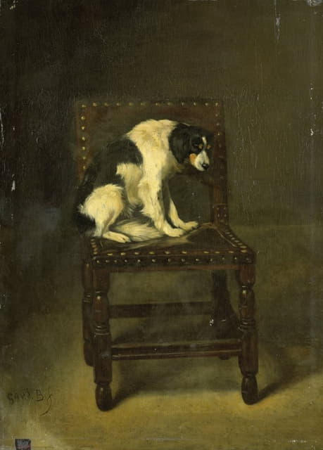 椅子上的狗