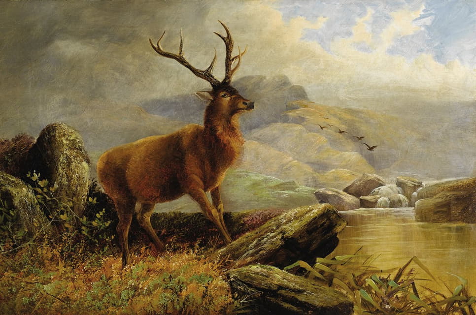 Henery Morris - Stag at Mountain Stream