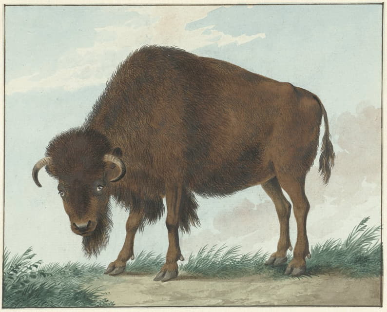 Isaac van Haastert - Bison