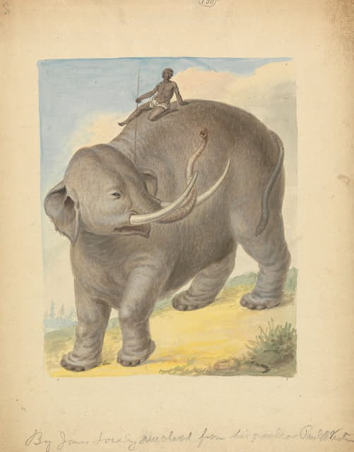 大象和骑手。
