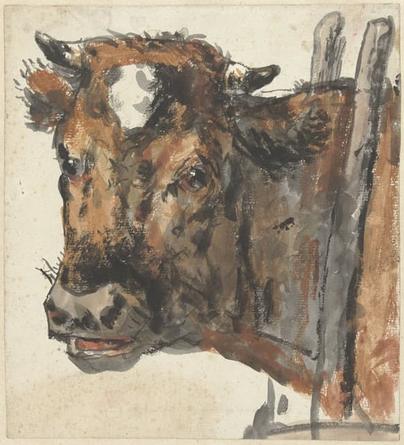 Jan Kobell II - Kop van een koe