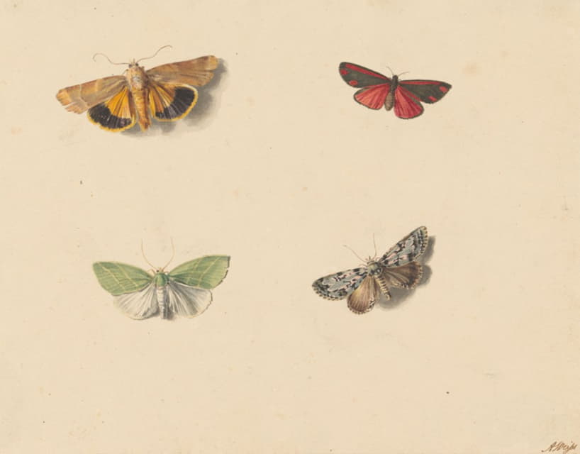 Jan Weissenbruch - Vier vlinders