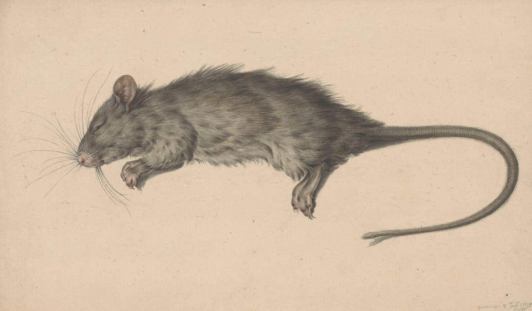 Jean Bernard - Dode rat