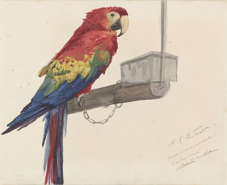Louis-Charles Bombled - Parrot