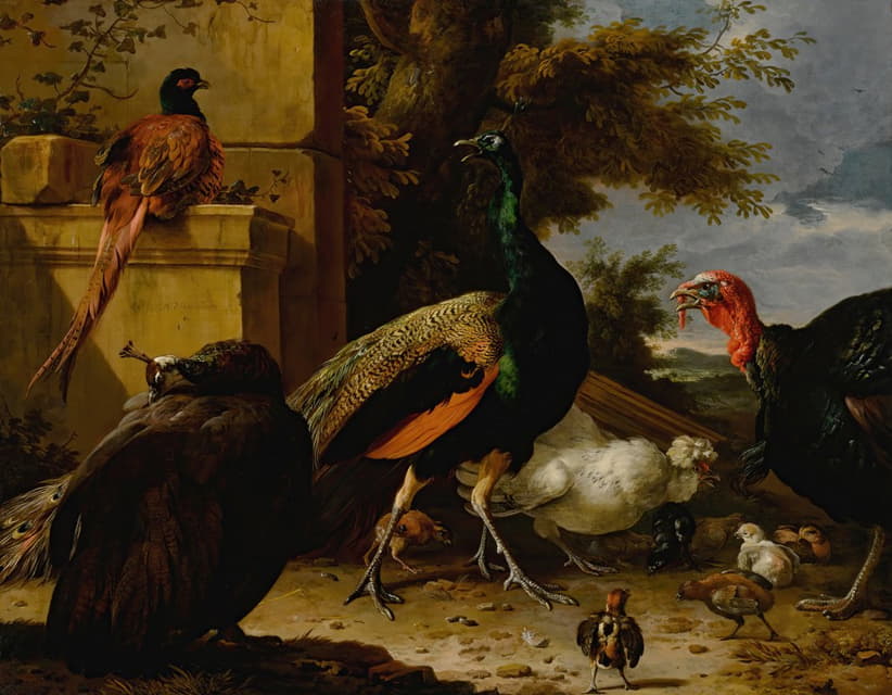 一只孔雀，一只豌豆母鸡，一只野鸡，一只火鸡，一只公鸡和一只小鸡在墙边，远处的风景