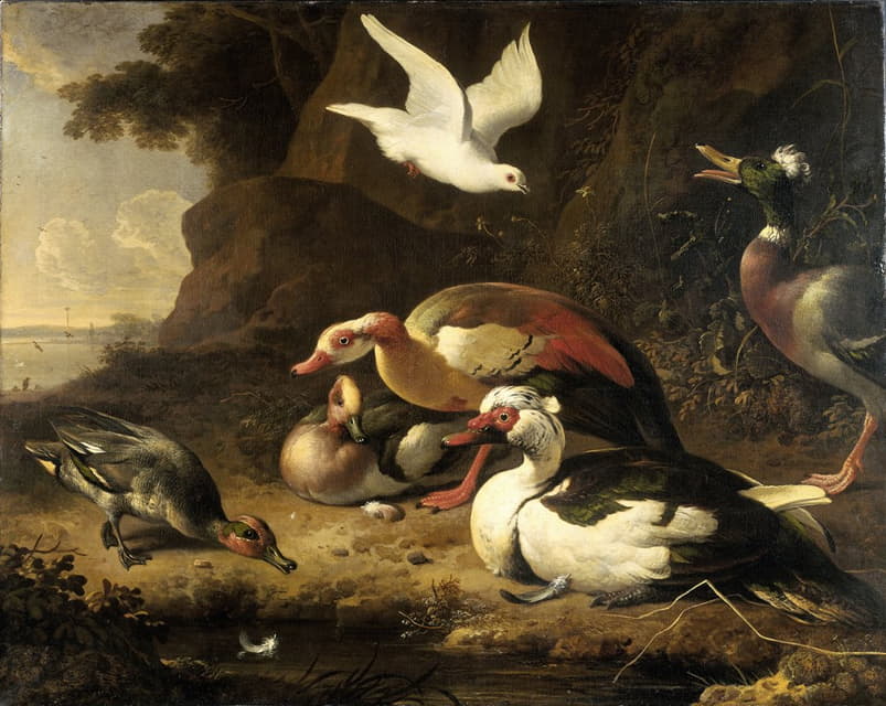 Melchior d'Hondecoeter - Ducks