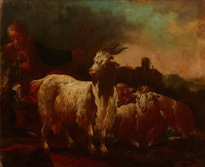山羊和绵羊