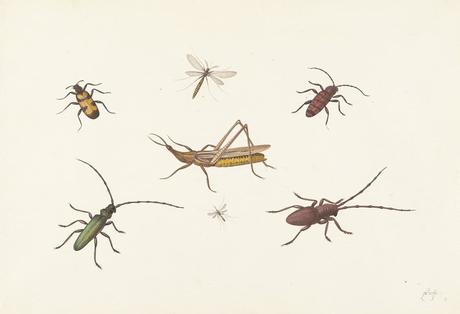 有七种不同昆虫的床单