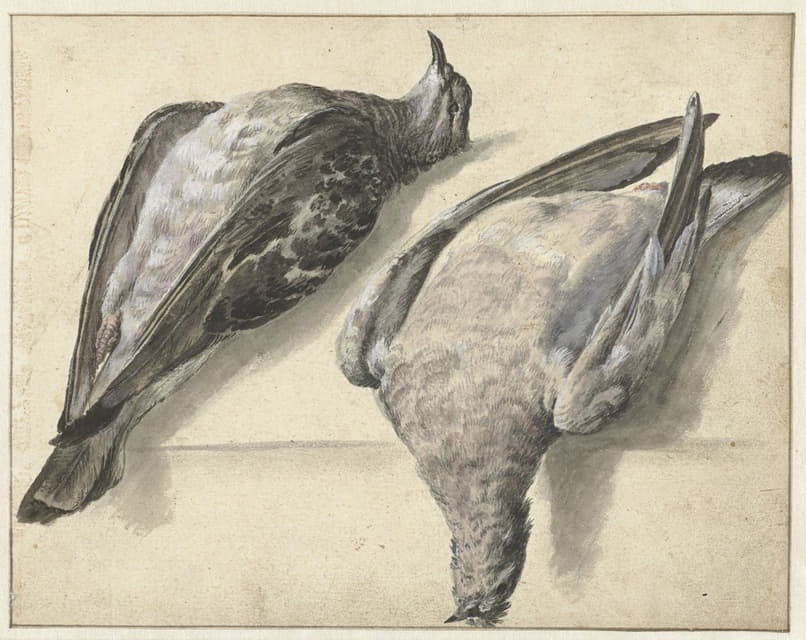 Rochus van Veen - Twee dode duiven