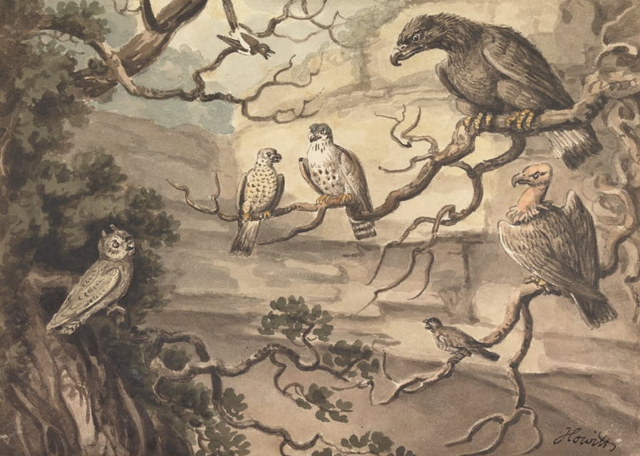 一只猫头鹰、一只老鹰、两只猎鹰、一只秃鹫和其他栖息在树上的鸟类