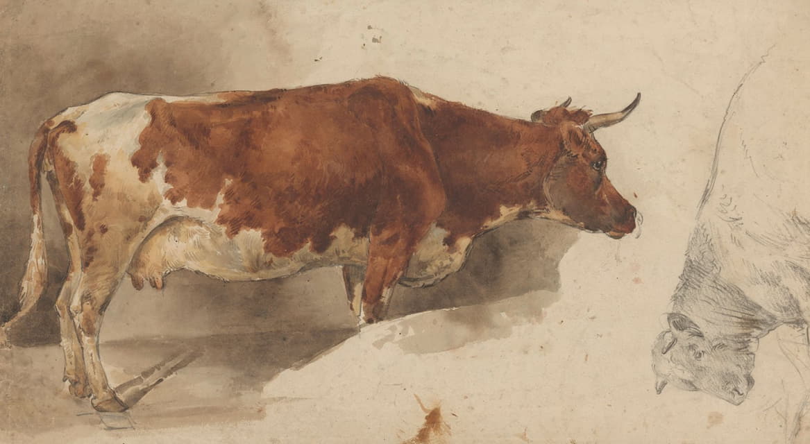 Willem Carel Nakken - Staande koe, naar rechts, en schets van een rund