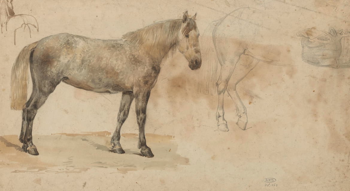 Willem Carel Nakken - Studies van een paard