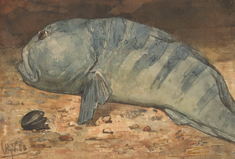 Willem Witsen - Side View of a Fish