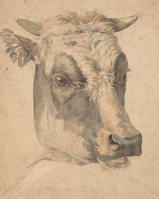Wouter Johannes van Troostwijk - Kop van een koe