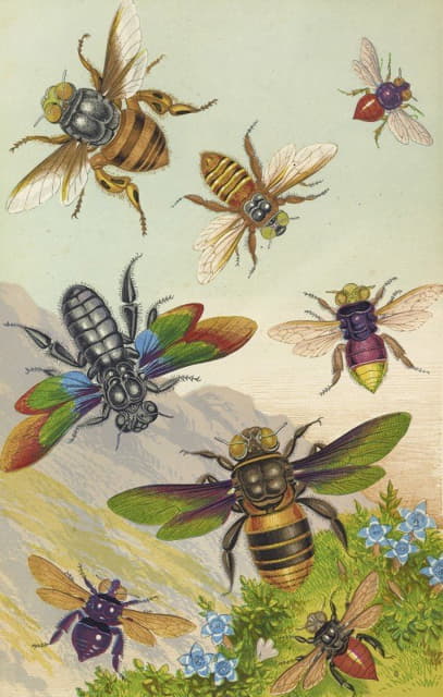 Barret And Sons - Beautiful Exotic Bees