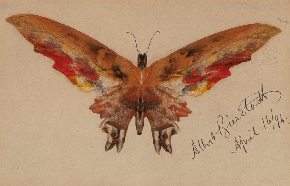 Albert Bierstadt - Butterfly