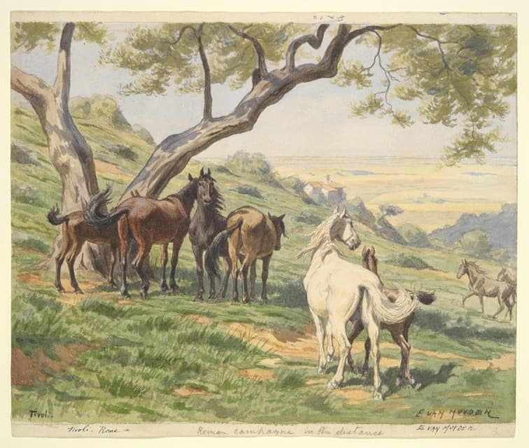 Evart Louis Van Muyden - Horses in Field, Tivoli