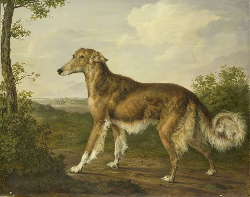 Jan Dasveldt - Siberian Greyhound