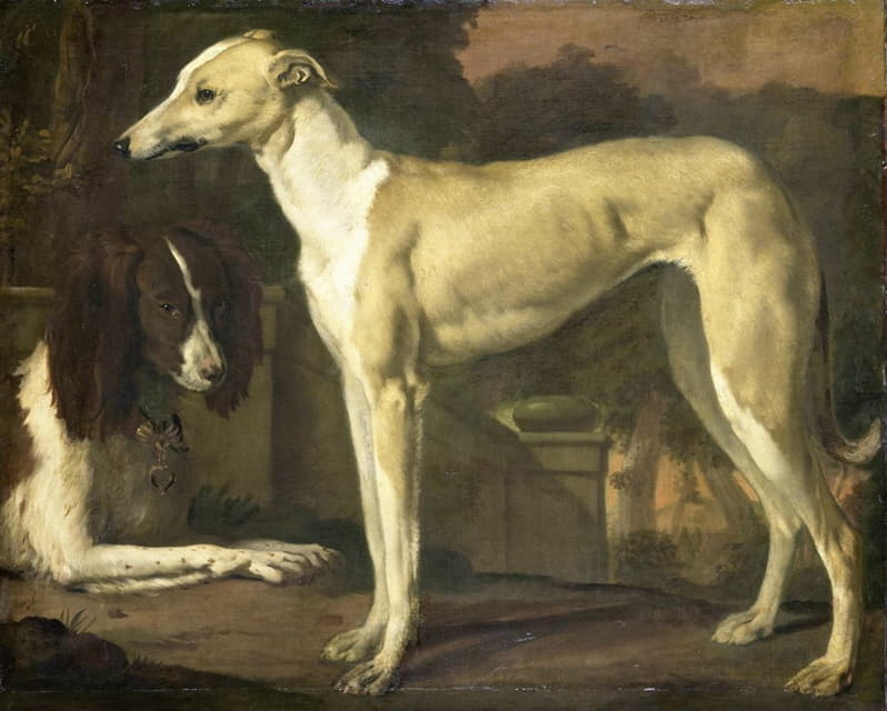 灰狗和猎犬的肖像
