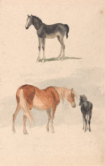 两项研究；一匹小马驹，一匹母马和一匹小马驹