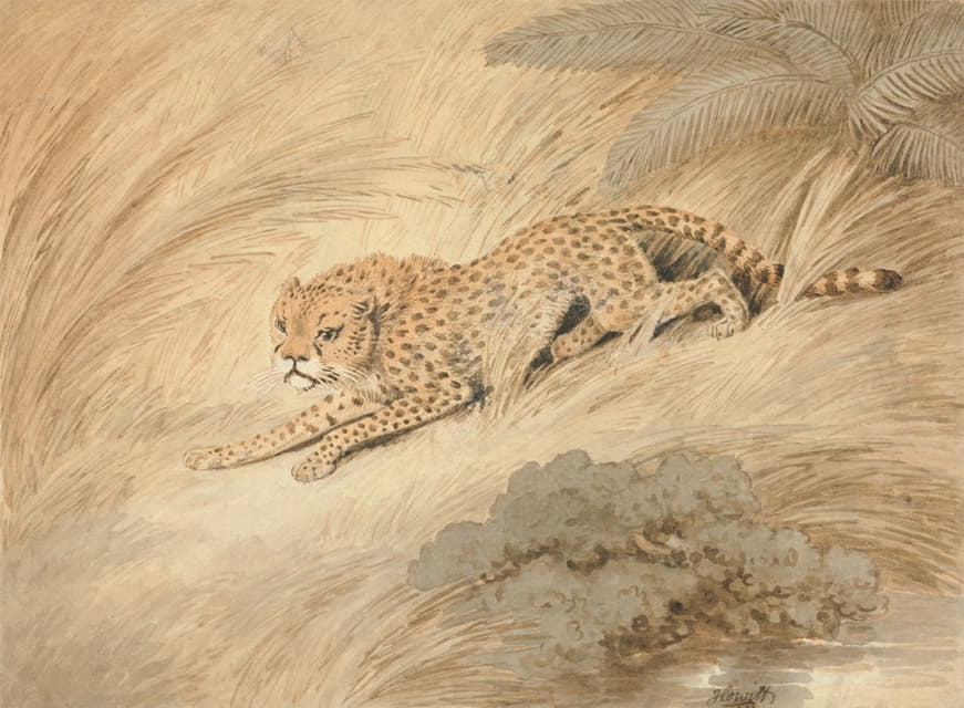 Samuel Howitt - A Cheetah Crouching by a Pool