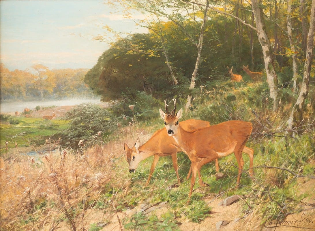 Christian Kröner - Red deer on a forest clearing