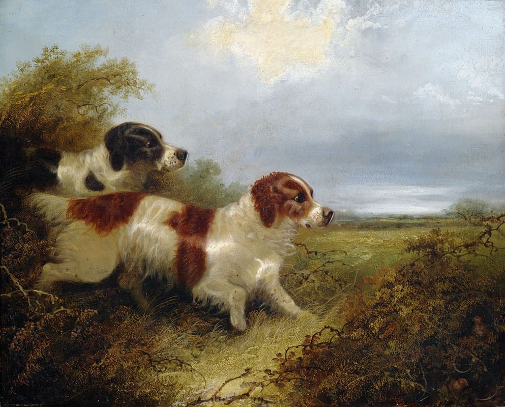 Edward Armfield - Two Terriers