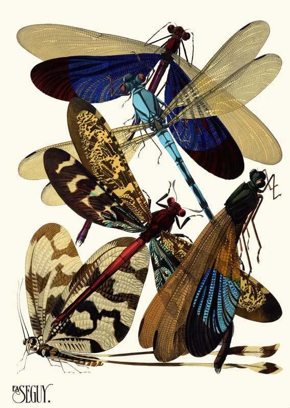 Emile-Allain Séguy - Insectes Pl.02