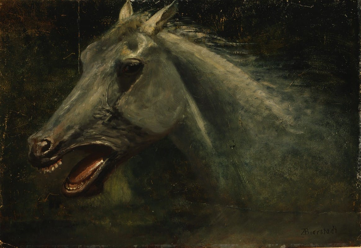 Albert Bierstadt - A Wild Stallion (an original oil sketch for ‘The Last of the Buffalo’)