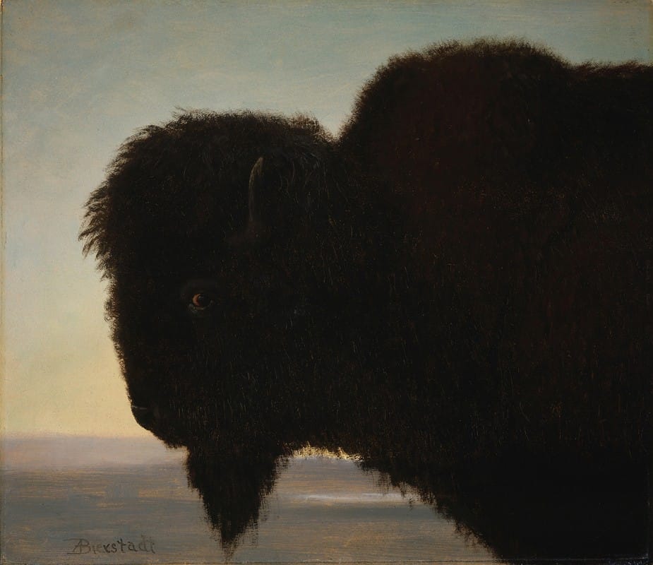 Albert Bierstadt - Buffalo Head