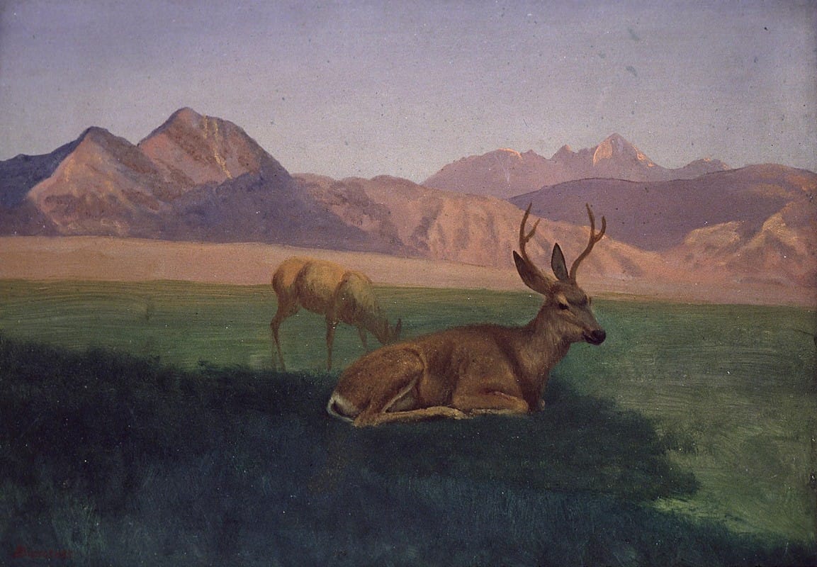 Albert Bierstadt - Deer