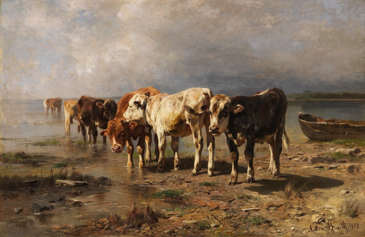 Kühe am Seeufer