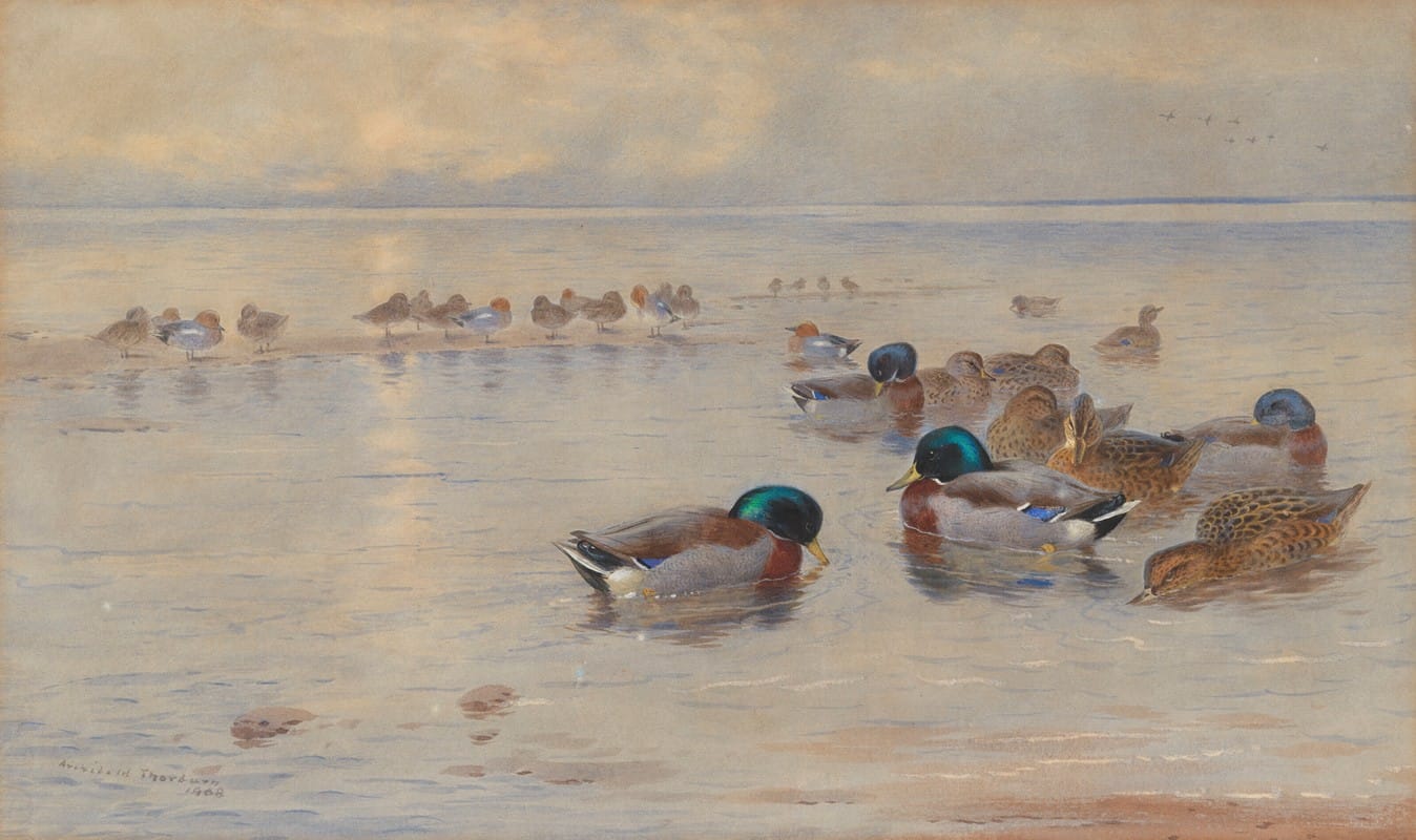 Mallards on a lake