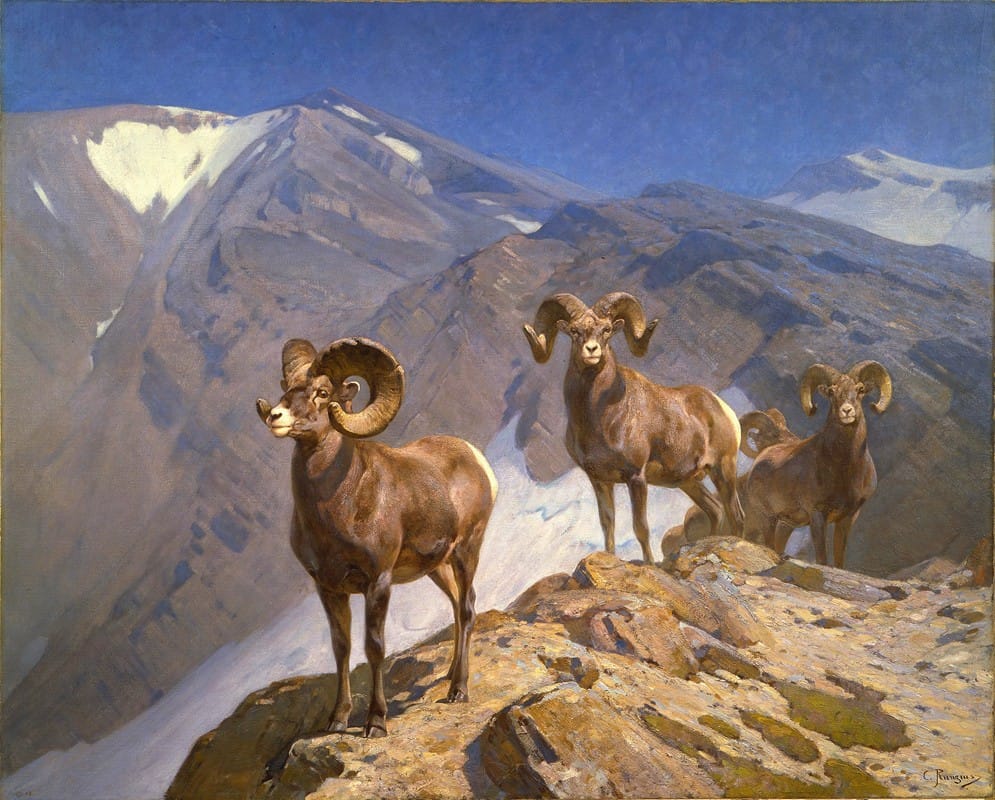 Carl Rungius - The Mountaineers — Big Horn Sheep on Wilcox Pass