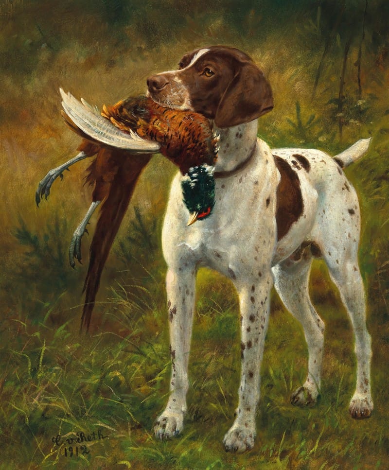A Hunting Dog with a Pheasant