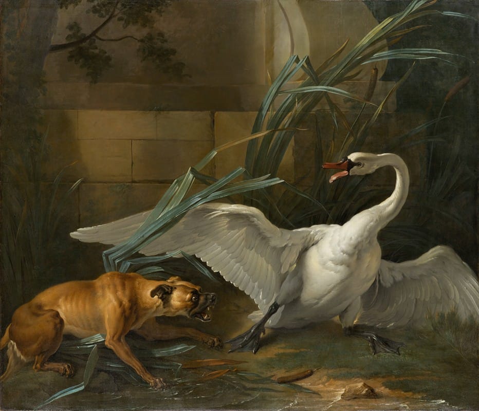 Swan Attacked by a Dog