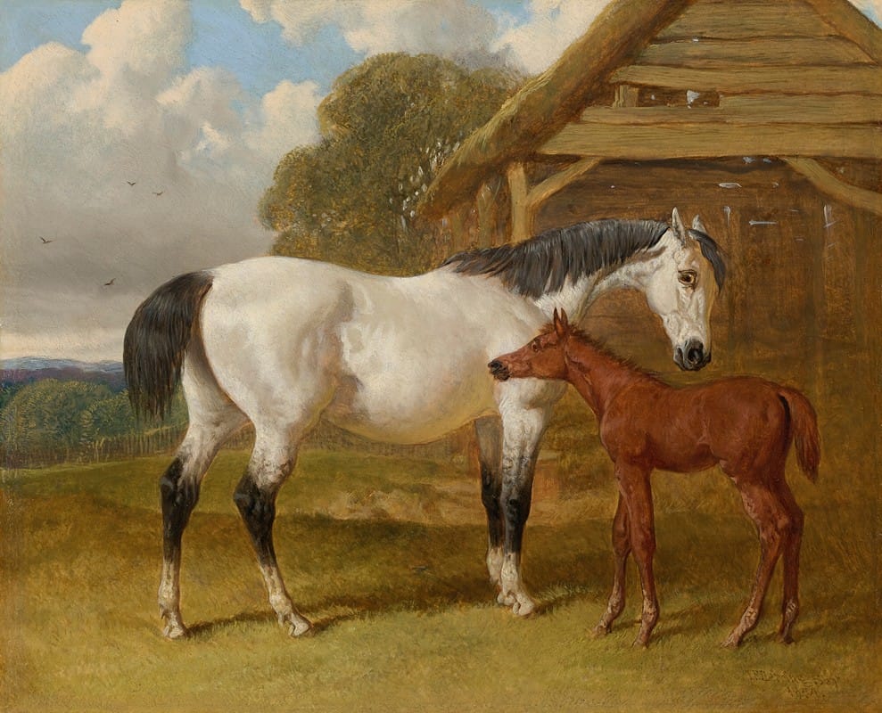 A mare and foal beside a field shelter
