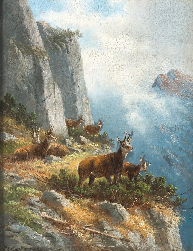 A Chamois High in the Mountains